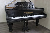 �������� / Diederichs - 1890, �5475