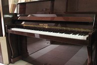 ���� � ̸� / Fuchs & Möhr - 1989, � 161029