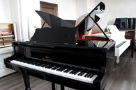 ���������� / Mendelssohn - 2019, ������ 132 cm.