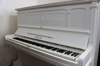 Ը����� / Förster -1910, �23717