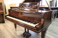 ������ ������ / Gustav Fiedler � 10254