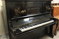 ���� ����� / Kaps Ernst - 1910, �31248