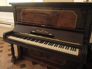 �������� � ������� / Steinway & Sons �113309