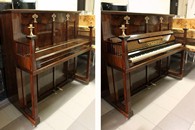 �������� �./ Geissler F. � 12011