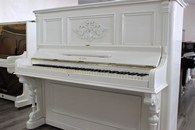 ���� ����� / Kaps Ernst - 1884, � 11060