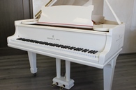 �������� � ������� / Steinway & Sons - 1910, � 138888