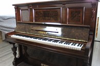 Ը����� / Förster �26124