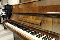 ����� / Scholze � 55144