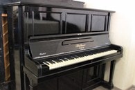 ������� / Blüthner - 1918, � 95004