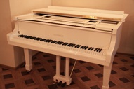 Ը��� / Feurich GP-178