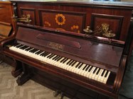 ���� � �������� / Hoff&Co �8539
