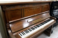 ��������, �. / R.Weissbrod � 11788