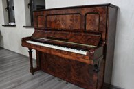 �������� � ������� / Steinway & Sons �161343