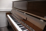 ����� / Elise �882088