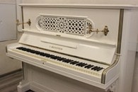 �������� �./ Bechstein C. - 1899, �49183